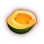 Acorn Squash