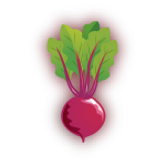 Beets