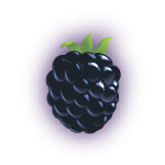 Blackberry