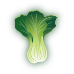 Bok Choy