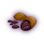 Cacao