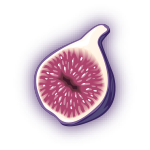 Fig