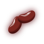 Kidney Beans