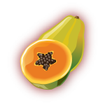 Papaya