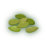 Pumpkin Seeds