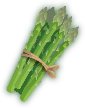 Asparagus