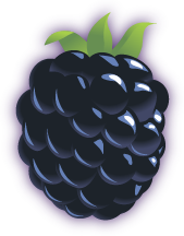 Blackberry