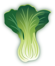 Bok Choy