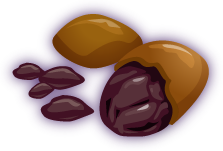 Cacao