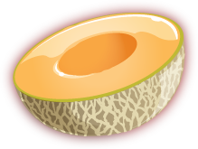 Cantaloupe