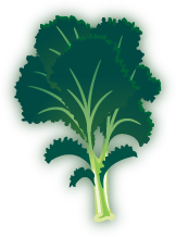 Kale