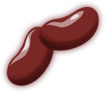 Kidney Beans