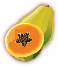 Papaya