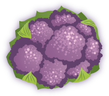 Purple Cauliflower